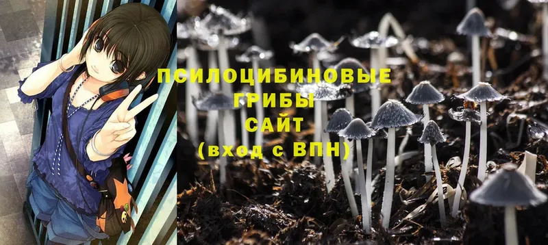 Галлюциногенные грибы MAGIC MUSHROOMS  kraken как войти  Омск 